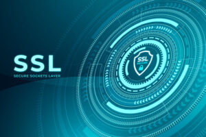 Read more about the article What is SSL and How it is working